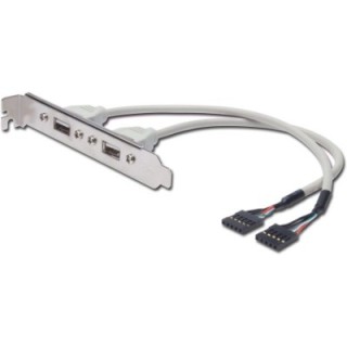 Cavetto Slot USB 2.0 2x 5pin