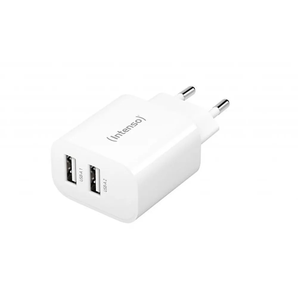 Intenso Caricabatterie per laptop W24AA 24W
