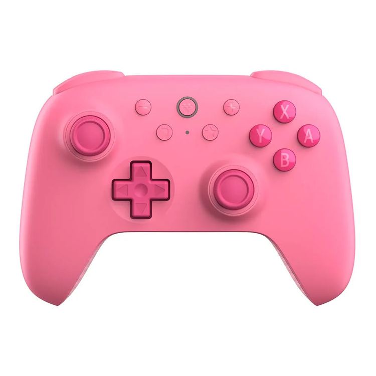 8bitdo Controller per Nintendo Switch Ultimate 2C